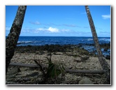 Lavena-Coastal-Walk-Bouma-National-Park-Taveuni-Fiji-048