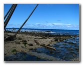Lavena-Coastal-Walk-Bouma-National-Park-Taveuni-Fiji-050