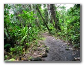 Lavena-Coastal-Walk-Bouma-National-Park-Taveuni-Fiji-058