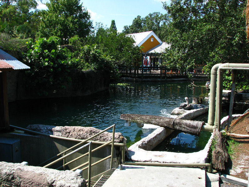Lowry-Park-Zoo-Tampa-FL-169
