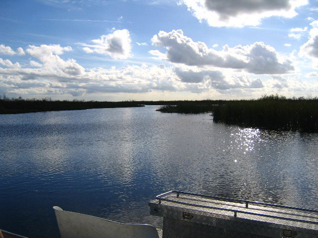 Florida-Everglades-Airboat-Tour-03