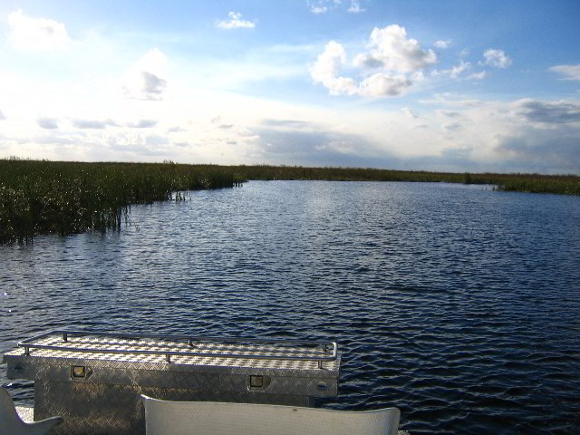 Florida-Everglades-Airboat-Tour-08