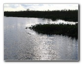 Florida-Everglades-Airboat-Tour-04