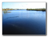 Florida-Everglades-Airboat-Tour-10
