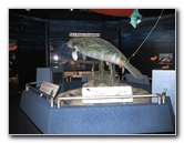 Museum-of-Science-and-History-Jacksonville-FL-002