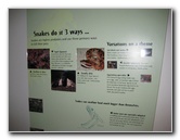 Museum-of-Science-and-History-Jacksonville-FL-029