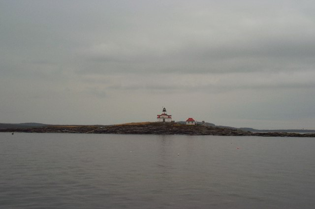 Maine-Whale-Watching-Photos-12