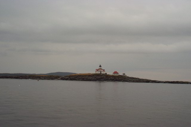 Maine-Whale-Watching-Photos-13