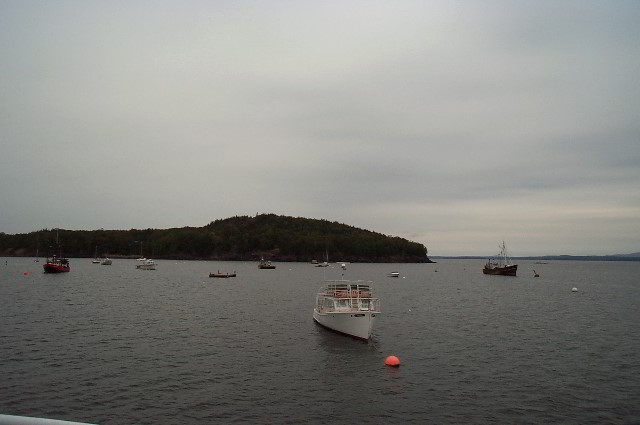 Maine-Whale-Watching-Photos-14