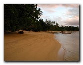 Maravu-Resort-Beverlys-Campground-Beach-Taveuni-Fiji-001