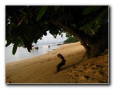 Maravu-Resort-Beverlys-Campground-Beach-Taveuni-Fiji-002