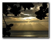 Maravu-Resort-Beverlys-Campground-Beach-Taveuni-Fiji-003