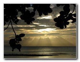 Maravu-Resort-Beverlys-Campground-Beach-Taveuni-Fiji-009