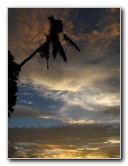Maravu-Resort-Beverlys-Campground-Beach-Taveuni-Fiji-029