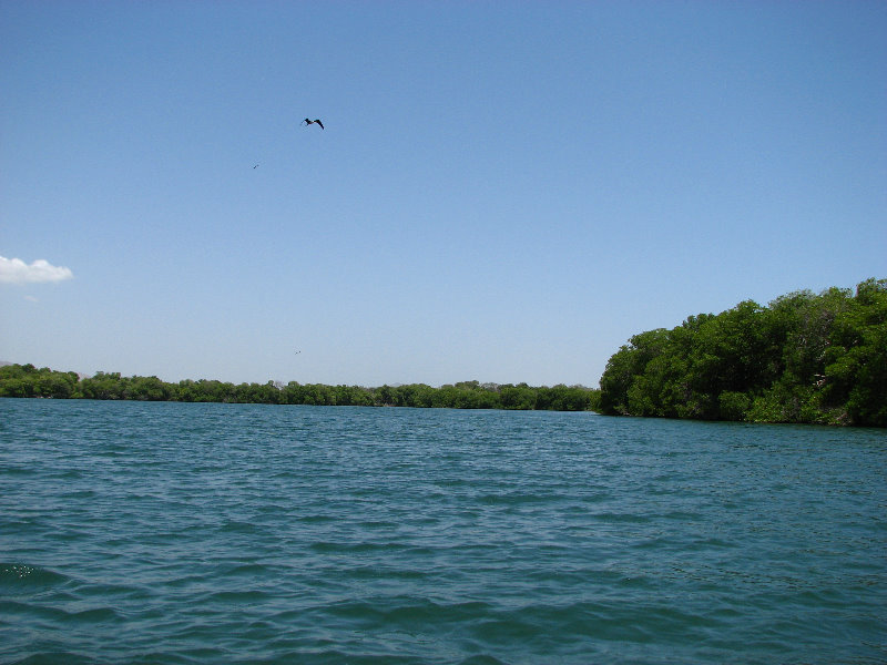 La-Restinga-Lagoon-Water