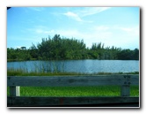 Matheson-Hammock-County-Park-Coral-Gables-Miami-FL-003