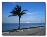 Matheson-Hammock-County-Park-Coral-Gables-Miami-FL-008