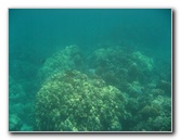 Mauna-Kea-Beach-Snorkeling-Kohala-Coast-Big-Island-Hawaii-064