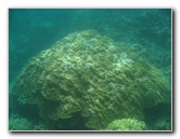 Mauna-Kea-Beach-Snorkeling-Kohala-Coast-Big-Island-Hawaii-094