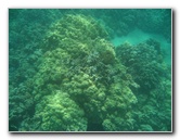 Mauna-Kea-Beach-Snorkeling-Kohala-Coast-Big-Island-Hawaii-096
