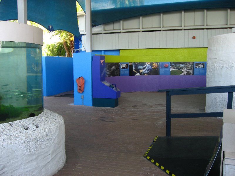Mote-Marine-Aquarium-Sarasota-FL-041