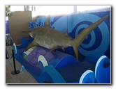 Mote-Marine-Aquarium-Sarasota-FL-050