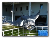 Mote-Marine-Aquarium-Sarasota-FL-071