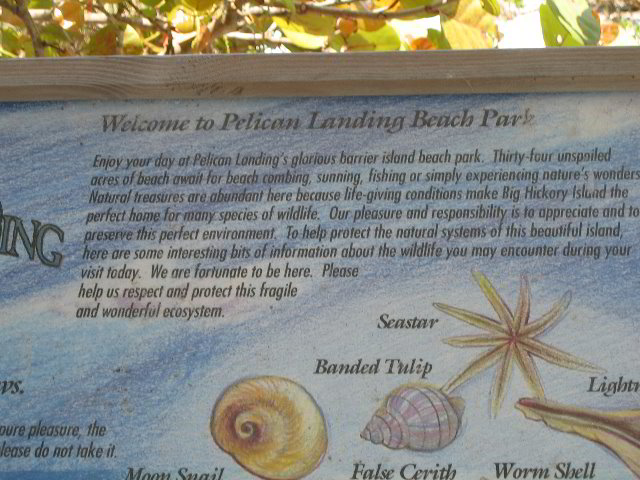 Pelican-Landing-Beach-Park-28