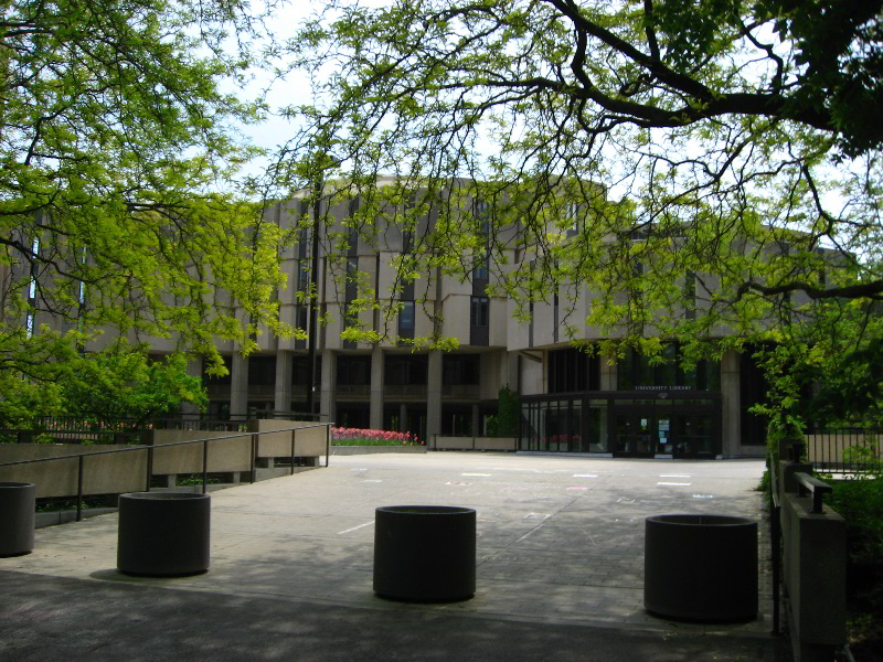 Northwestern-University-Evanston-Campus-Tour-0008