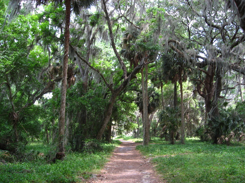 Palm-Point-Nature-Park-Newnans-Lake-Gainesville-FL-008