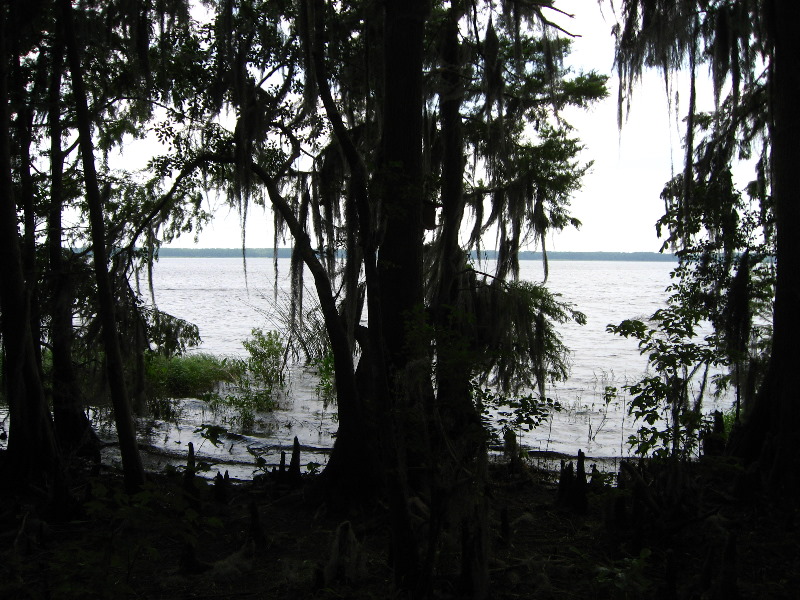 Palm-Point-Nature-Park-Newnans-Lake-Gainesville-FL-010