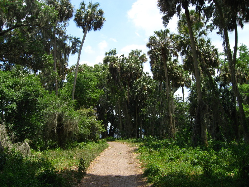 Palm-Point-Nature-Park-Newnans-Lake-Gainesville-FL-021