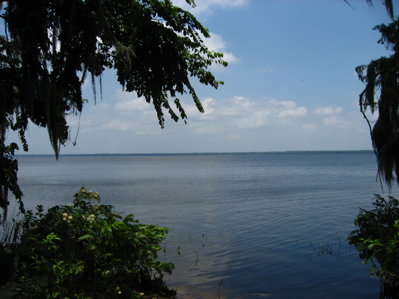 Palm-Point-Nature-Park-Newnans-Lake-Gainesville-FL-027