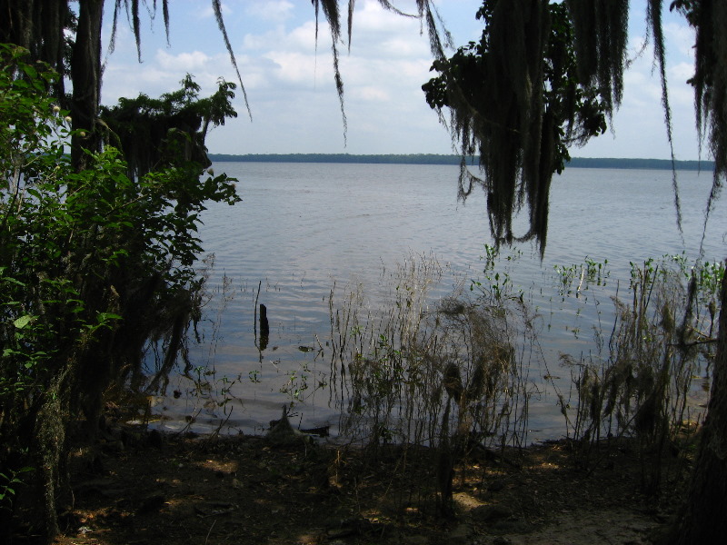 Palm-Point-Nature-Park-Newnans-Lake-Gainesville-FL-028
