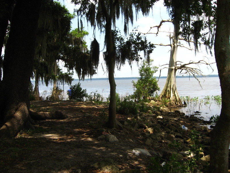Palm-Point-Nature-Park-Newnans-Lake-Gainesville-FL-033