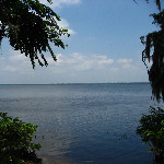 Palm Point Nature Park - Gainesville, FL
