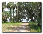 Palm-Point-Nature-Park-Newnans-Lake-Gainesville-FL-022