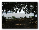 Palm-Point-Nature-Park-Newnans-Lake-Gainesville-FL-029