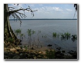 Palm-Point-Nature-Park-Newnans-Lake-Gainesville-FL-030