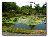 Panaewa-Rainforest-Zoo-and-Gardens-Hilo-Big-Island-Hawaii-003
