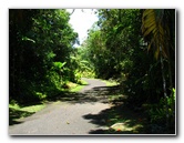 Panaewa-Rainforest-Zoo-and-Gardens-Hilo-Big-Island-Hawaii-007