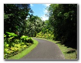 Panaewa-Rainforest-Zoo-and-Gardens-Hilo-Big-Island-Hawaii-008
