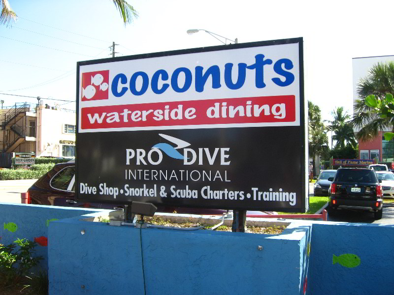 Pro-Dive-International-Fort-Lauderdale-FL-009