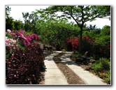 Pua-Mau-Place-Botanical-Garden-Kawaihae-Big-Island-Hawaii-009