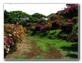 Pua-Mau-Place-Botanical-Garden-Kawaihae-Big-Island-Hawaii-021