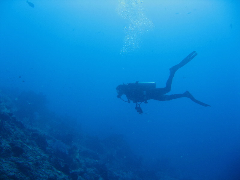 Rainbow-Reef-Scuba-Diving-Taveuni-Fiji-012