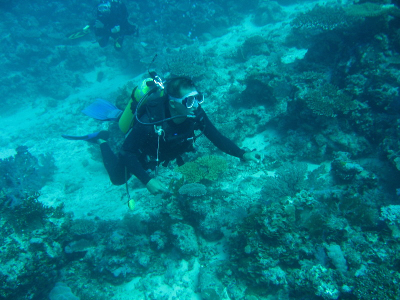 Rainbow-Reef-Scuba-Diving-Taveuni-Fiji-039