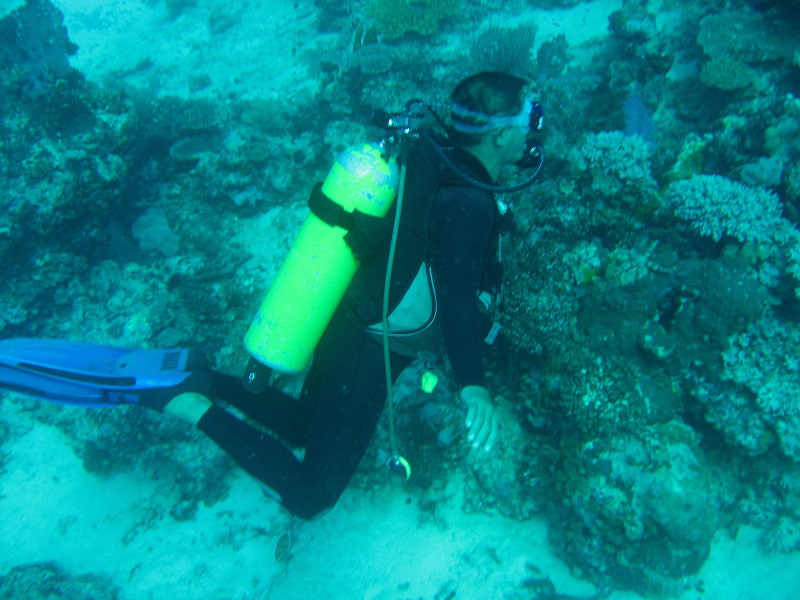 Rainbow-Reef-Scuba-Diving-Taveuni-Fiji-041