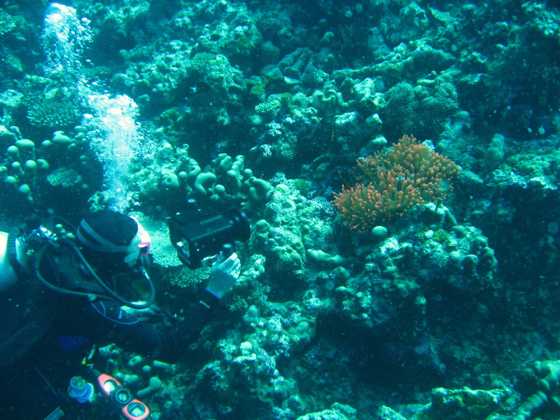 Rainbow-Reef-Scuba-Diving-Taveuni-Fiji-112