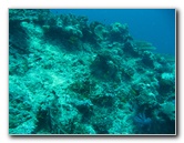 Rainbow-Reef-Scuba-Diving-Taveuni-Fiji-061